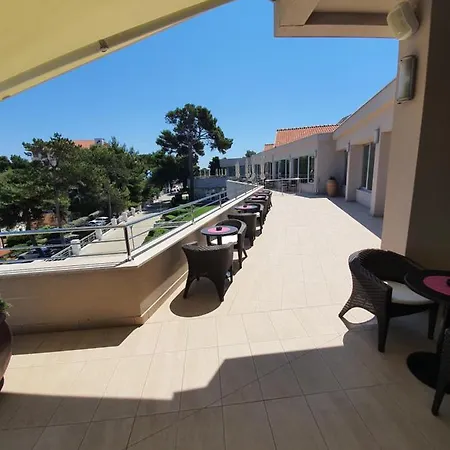 Apartmaji Punta *